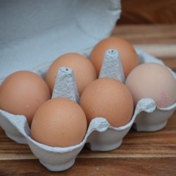 Stokes Farm Free Range Eggs