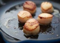 Scallops