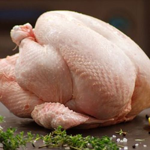 Poultry