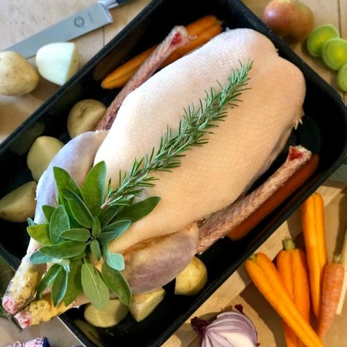 Free Range Goodmans Goose
