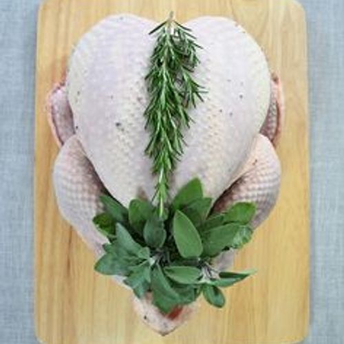 Bronze Turkey Sage Onion Stuffed